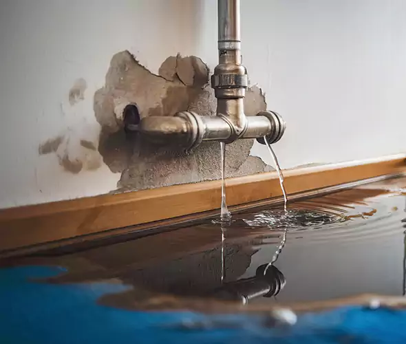 Professional Water Damage Restoration Experts in Vernon Hills, IL — Fast, Reliable & Certified
