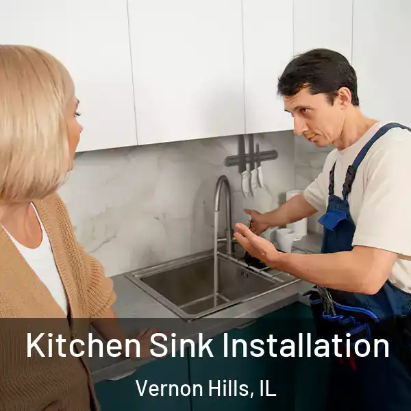 Kitchen Sink Installation Vernon Hills, IL