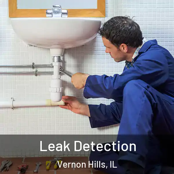  Leak Detection Vernon Hills, IL