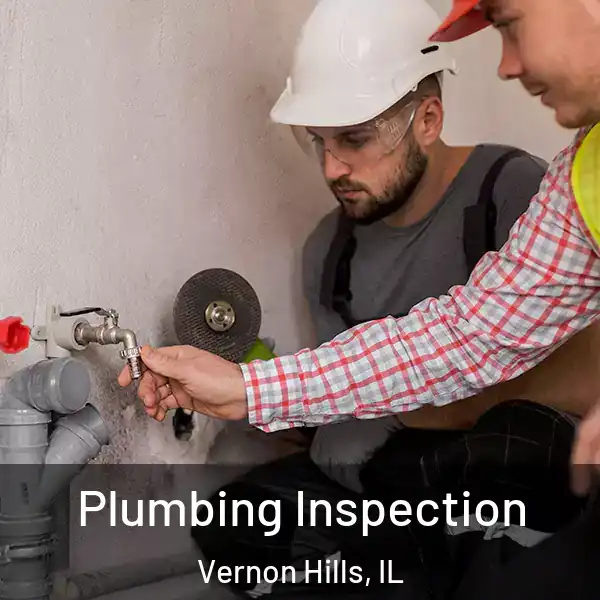  Plumbing Inspection Vernon Hills, IL