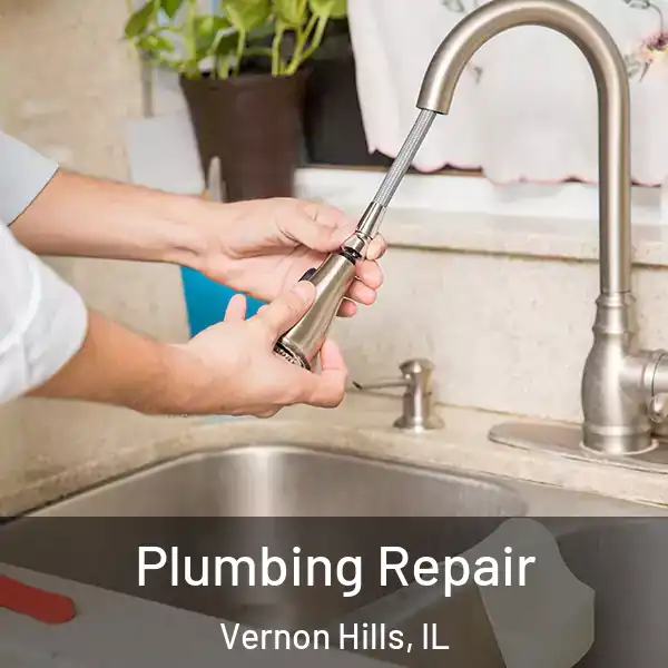  Plumbing Repair Vernon Hills, IL