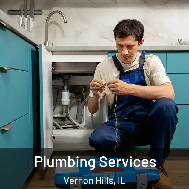 Plumbing Services Vernon Hills, IL