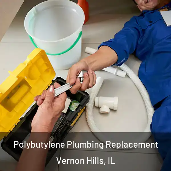  Polybutylene Plumbing Replacement Vernon Hills, IL