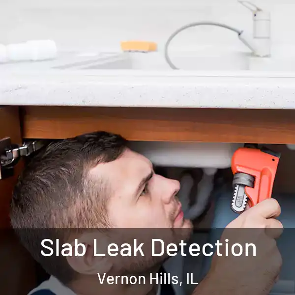  Slab Leak Detection Vernon Hills, IL