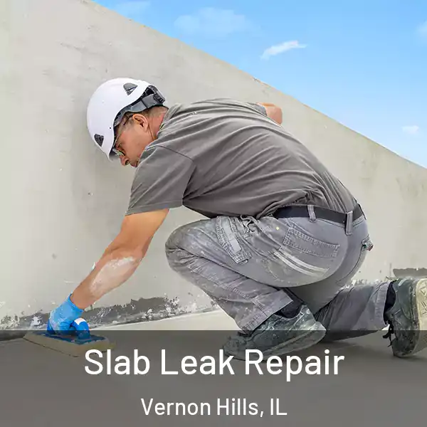  Slab Leak Repair Vernon Hills, IL