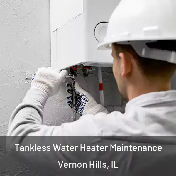  Tankless Water Heater Maintenance Vernon Hills, IL