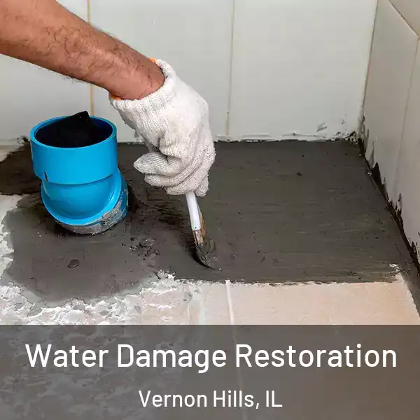  Water Damage Restoration Vernon Hills, IL