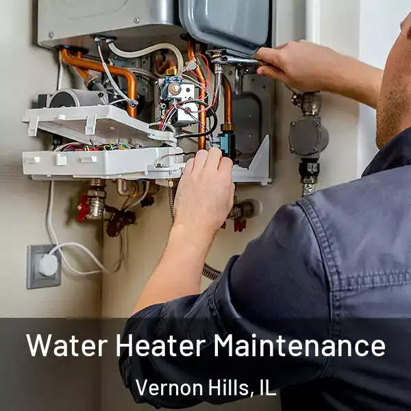  Water Heater Maintenance Vernon Hills, IL