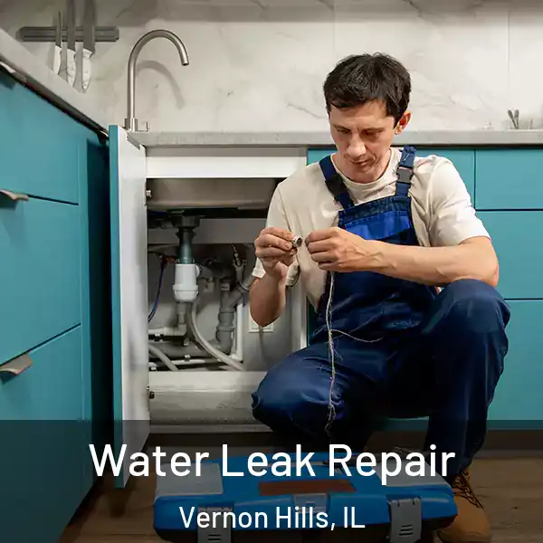  Water Leak Repair Vernon Hills, IL